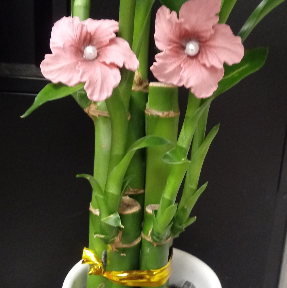 Beautiful flower earrings.